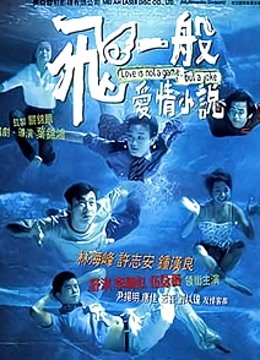 飞一般爱情小说封面图