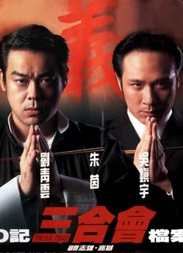 O记三合会档案封面图