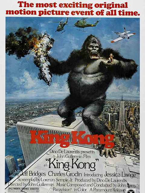 金刚传奇重生封面图