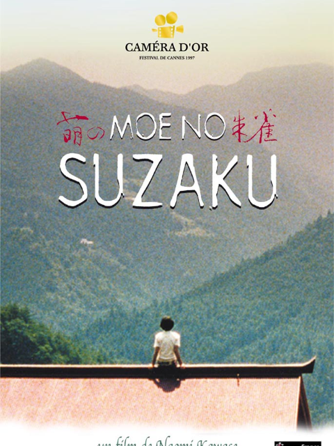 萌之朱雀封面图