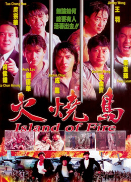火烧岛封面图