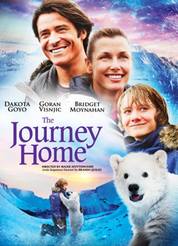 北极大冒险封面图