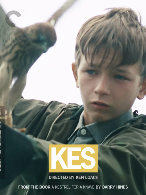 小孩与鹰封面图