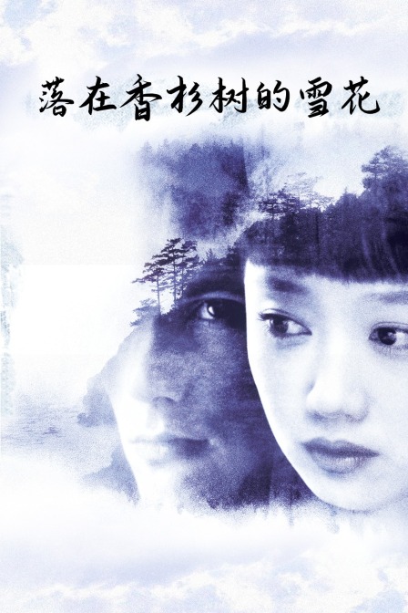 落在香杉树的雪花封面图