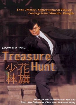 花旗少林封面图