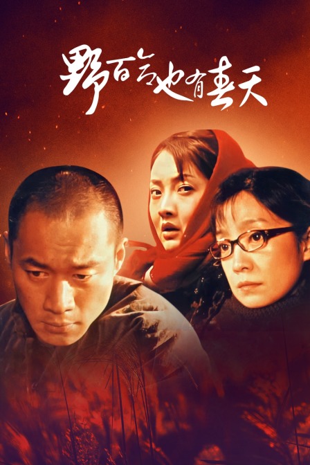 野百合也有春天封面图