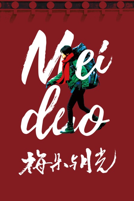 梅朵与月光封面图