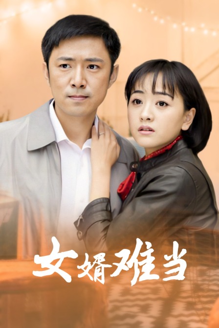 女婿难当封面图