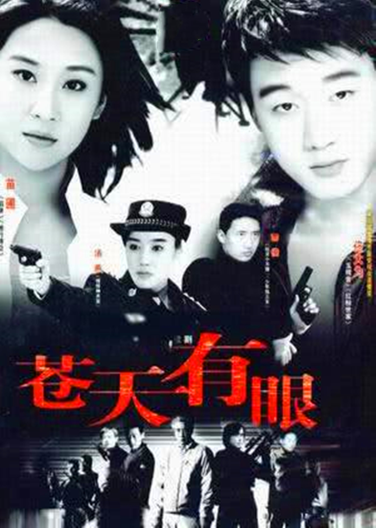 苍天有眼封面图