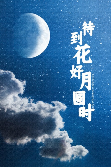 待到花好月圆时封面图