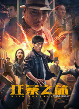 狂暴之旅封面图