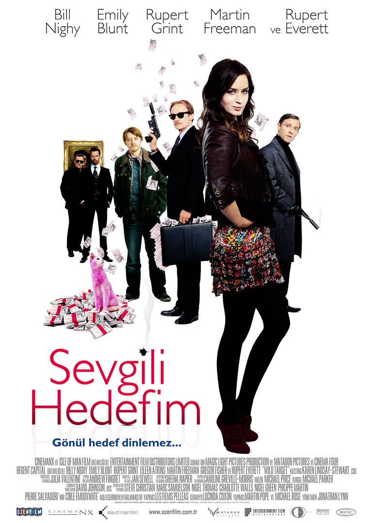 狂野目标封面图