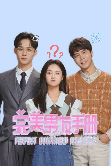完美男友手册封面图