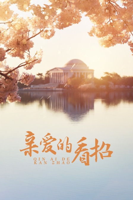 亲爱的看招封面图