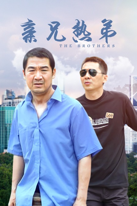 亲兄热弟封面图