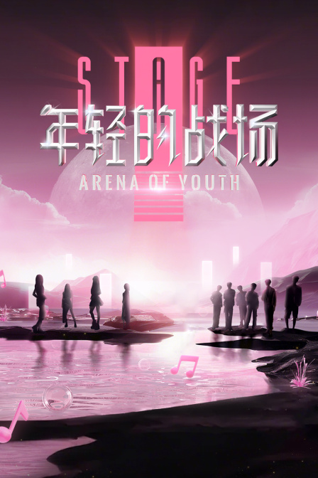 年轻的战场简体版封面图