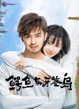 鳄鱼与牙签鸟封面图