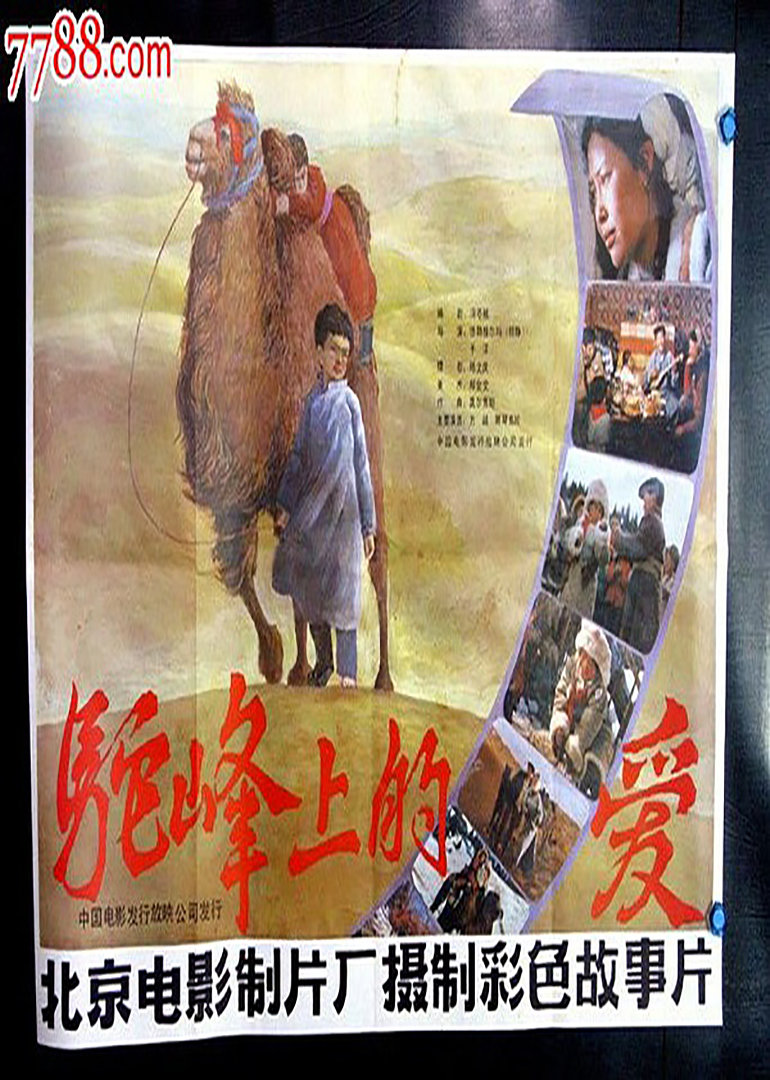 驼峰上的爱封面图