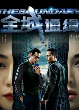 全城通缉封面图