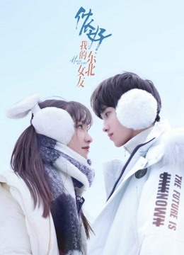 侬好我的东北女友封面图