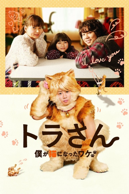 猫咪小虎封面图