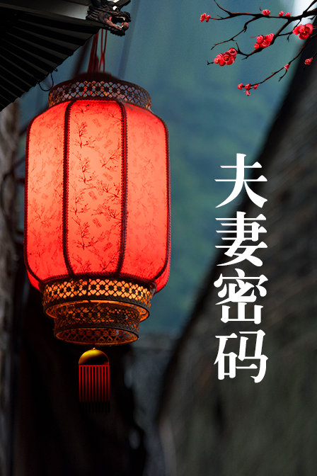 夫妻密码封面图