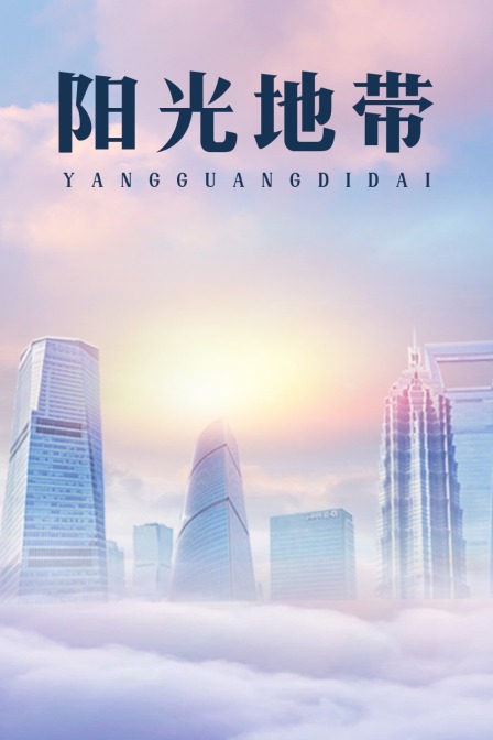 阳光地带封面图