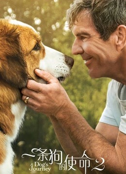 一条狗的使命2普通话版封面图