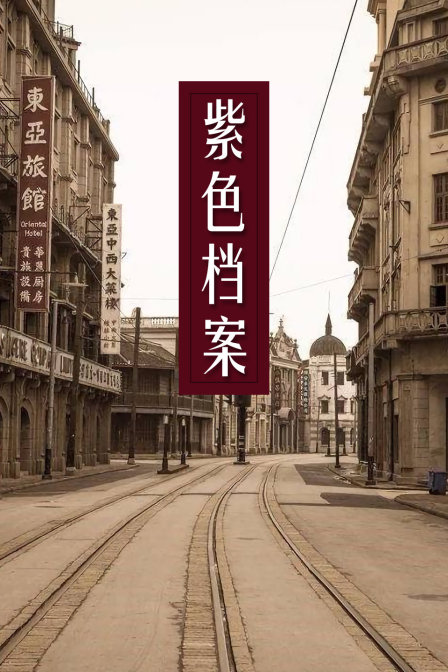 紫色档案封面图