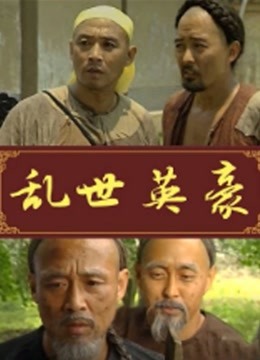 乱世英豪封面图