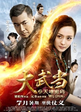 大武当之天地密码封面图