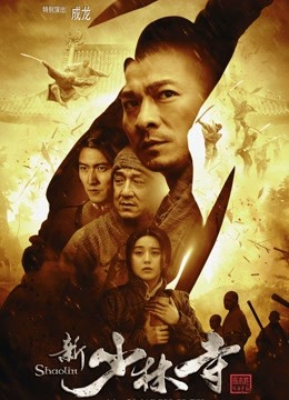 新少林寺封面图