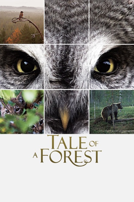 森之传说封面图