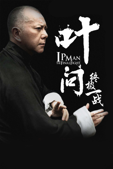 叶问终极一战封面图