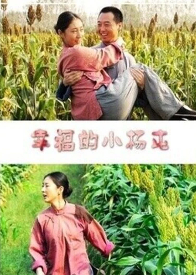 幸福的小杨屯封面图
