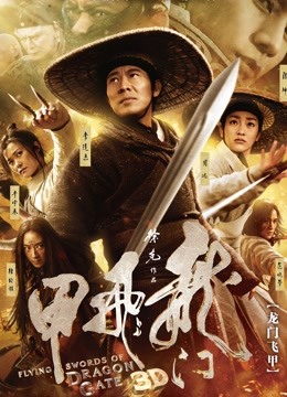 龙门飞甲封面图