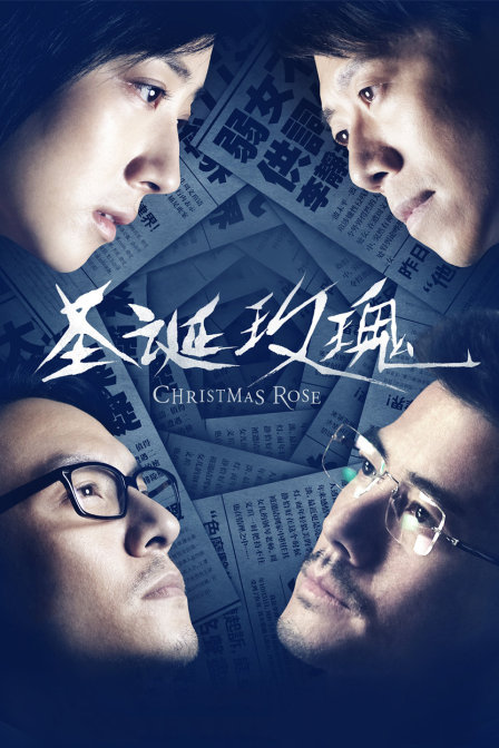 圣诞玫瑰封面图