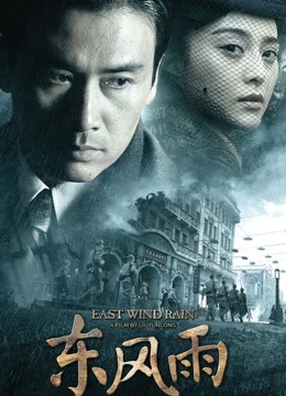 东风雨封面图