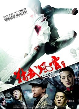 精武风云陈真封面图