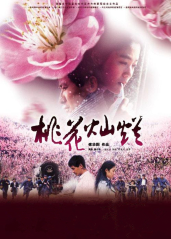 桃花灿烂封面图