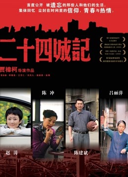 二十四城记封面图