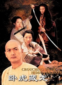 卧虎藏龙封面图