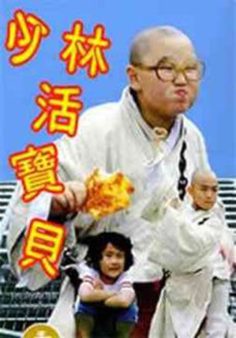少林活宝贝封面图