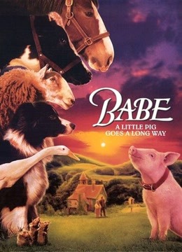 小猪宝贝封面图