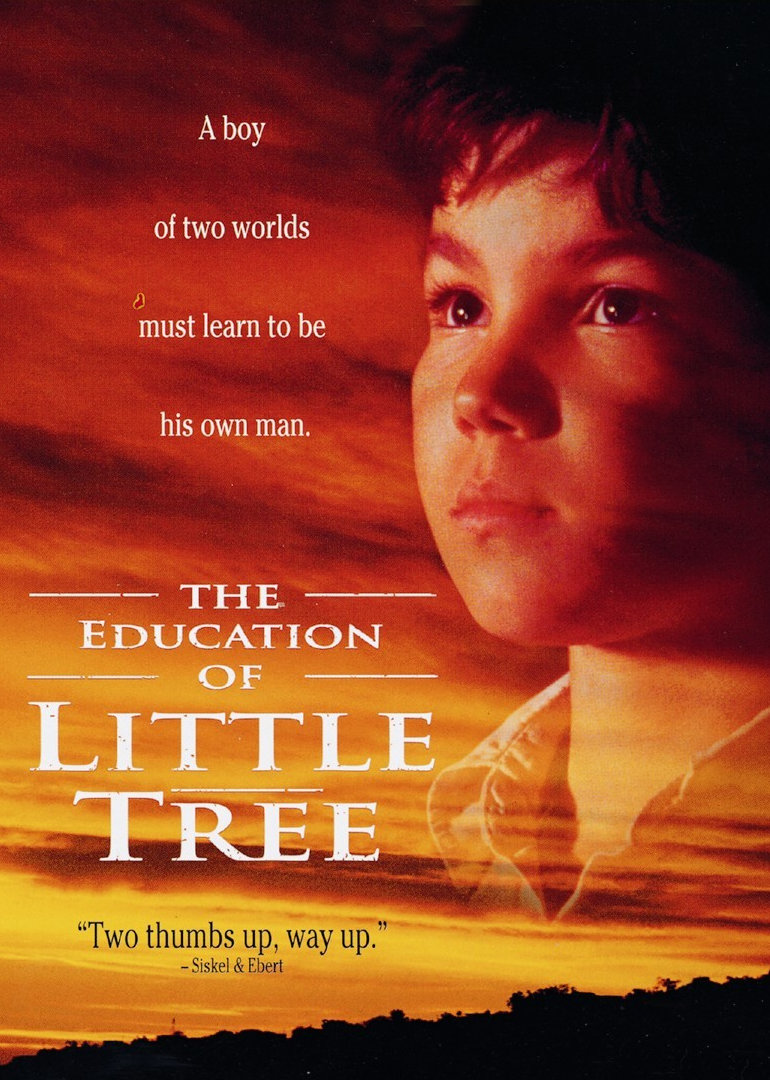 小树的故事封面图