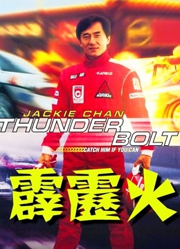 霹雳火封面图