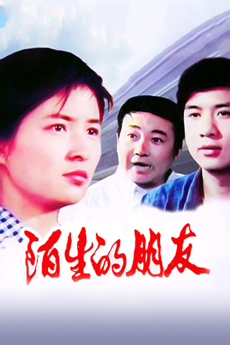 陌生的朋友封面图