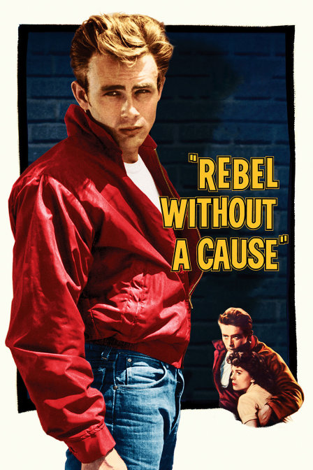 无因的反抗封面图