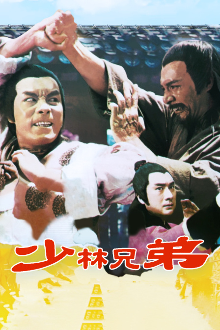 少林兄弟封面图