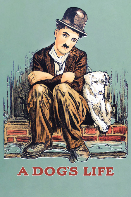 狗的生活封面图